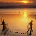 Albufera Lake Sunset